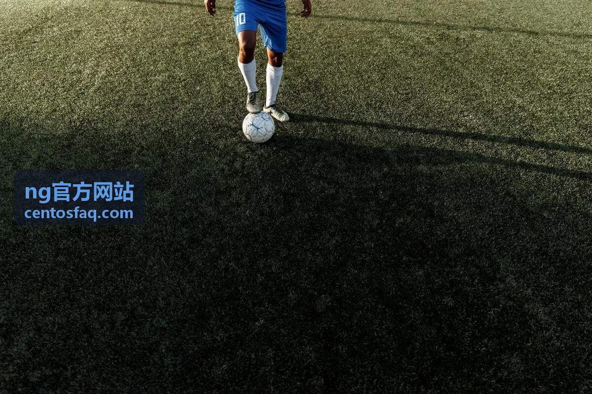 ng官方网站会员权益对比入门档查阅界面示意